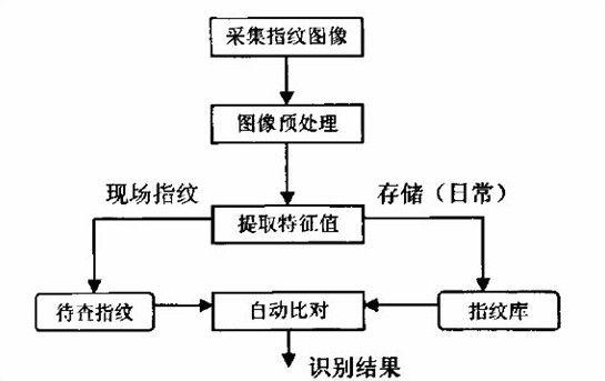 【兰和科普】为什么指纹锁会出现识别不灵敏？